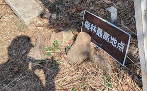 PXL_20260228_020244469