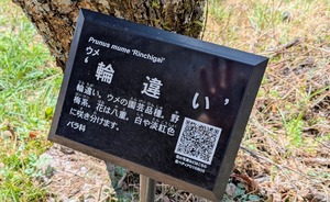 PXL_20260228_014109204~2