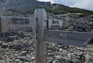 PXL_20220806_233705040