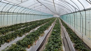 PXL_20260328_010323771