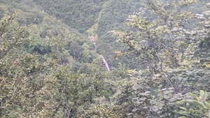 PXL_20220904_060100113