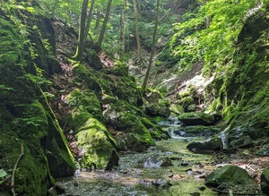 PXL_20220723_010506630