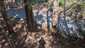 PXL_20260308_015233005