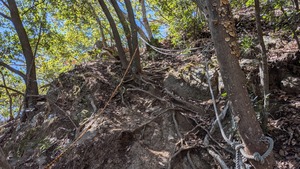 PXL_20260308_014301502