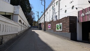 PXL_20260308_031524146