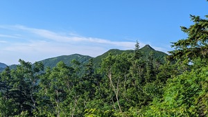 PXL_20220806_221140996