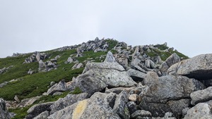 PXL_20220806_015801051