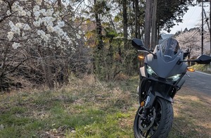 PXL_20260329_053921857