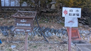 PXL_20260313_215101350