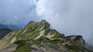 PXL_20220911_014636367