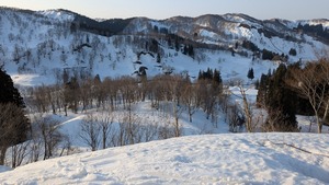 PXL_20260321_214844943