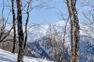 PXL_20260301_040406764~2