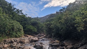 PXL_20220903_212725455