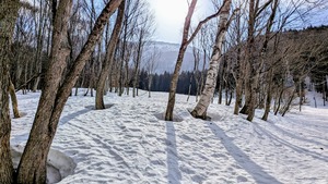 PXL_20260301_000553182~2