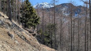 PXL_20260314_022007957