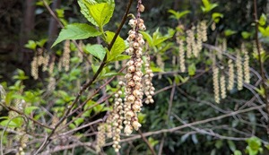 PXL_20260411_232449806