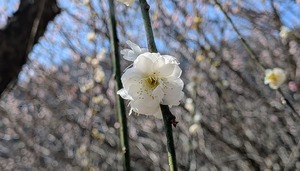PXL_20260228_014204162~2