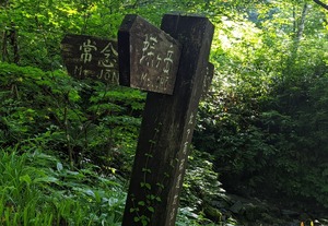 PXL_20220805_215906354