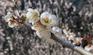 PXL_20260228_014016197