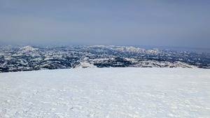 PXL_20260322_011535030~2