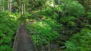 PXL_20220805_215827104