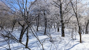 PXL_20260301_024822262~2