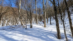 PXL_20260301_054657047~2