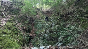 PXL_20220827_040405960