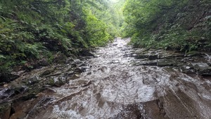 PXL_20220902_231100705