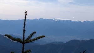 PXL_20260314_063258781