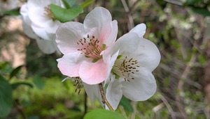 PXL_20260411_231658413