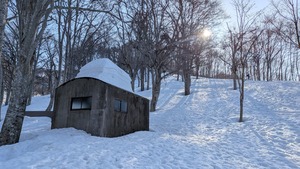 PXL_20260321_230413109