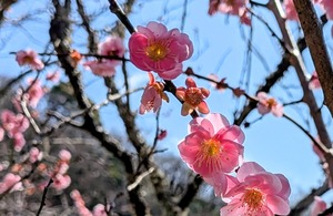 PXL_20260228_014731471~2