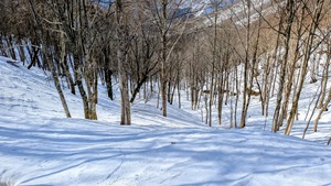 PXL_20260301_054653539~2