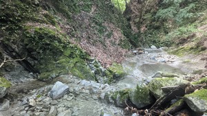 PXL_20220827_054621081