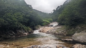 PXL_20220903_034718281