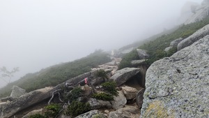 PXL_20220806_014725906