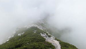 PXL_20220806_024157246