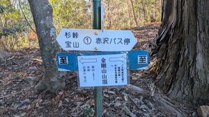 PXL_20260307_231136206