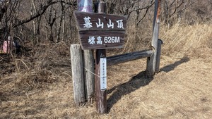 PXL_20260228_025132529