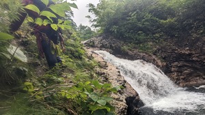 PXL_20220903_025338368