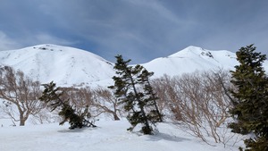 PXL_20260405_010507071