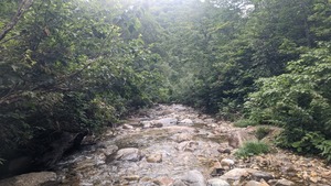 PXL_20220903_015136398