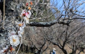 PXL_20260228_013930983~2