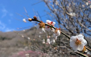 PXL_20260228_013548018~3