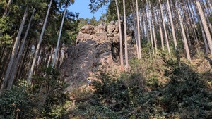 PXL_20260329_051139593