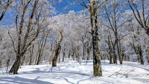 PXL_20260301_035930412~2