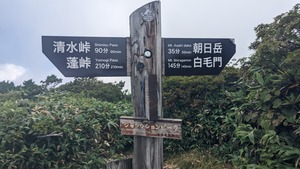 PXL_20220904_005230733