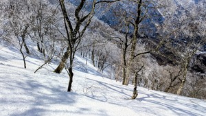 PXL_20260301_051119085~2