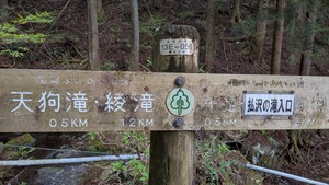 PXL_20260411_232016811